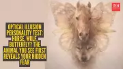 Optical Illusion Reveals Personality: Horse, Wolf, or Butterfly First?