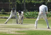 Patiala Bowlers Dominate, Secure Innings Victory Over Ludhiana