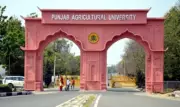 PAU Vice-Chancellor Advocates MSP as Crucial for Crop Diversification in Punjab