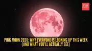 Pink Moon 2024: Peak Illumination Time, Science Behind Copper Glow & Holiday Impact
