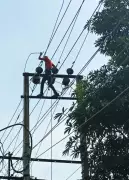 PSPCL Workers in Ludhiana Raise Alarm Over Missing Safety Gear