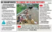 Pune Forest Garbage Crisis: Wildlife at Risk from Unchecked Dumping