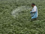 Punjab Launches Surprise Checks to Curb Fertiliser Misuse in Jalandhar