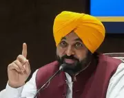Punjab to Establish Horticulture Learning Center Inspired by Netherlands Visit