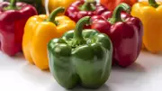 Red, Yellow, Green Bell Peppers: Color Reveals Nutrition and Ripeness