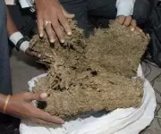 RPF Seizes 8.5kg of Ganja Worth ₹4.2 Lakh at Trichy Junction Railway Station