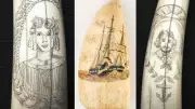 Scrimshaw: Maritime Art of Sailors Carved on Whale Bones