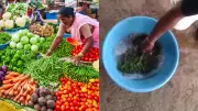 Shocking Video Reveals Artificial Coloring of Vegetables: Health Risks You Must Know