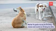 Stray Dog Kali Sacrifices Life to Save 30+ Children from Snake in Odisha