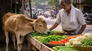 Street Vendor's Calm Patience with Calf Eating Vegetables Goes Viral