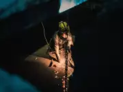 Taiwan Detects 10 Chinese Aircraft Sorties, 11 Vessels Near Territory