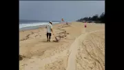 Tar Balls Appear Early on Goa's Salcete Coast, Raising Pollution Concerns