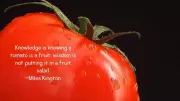 The Tomato Wisdom: A Humorous Lesson on Knowledge vs. Common Sense