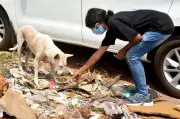 Thiruvananthapuram City Corporation Introduces Fixed Daily Rate for Stray Dog Shelter Care