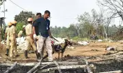 Thrissur Pooram 2024 Likely Scaled Down After Fireworks Tragedy Claims 14 Lives