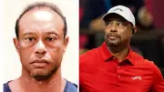 Tiger Woods Arrested After Car Crash, New Mugshot Released