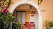 Transform Your Home's Energy: Best Plants for the Entrance According to Vastu