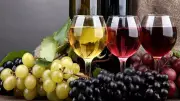 UK Citizen Gets 10 Years in US Prison for $97 Million Fake Wine Investment Fraud