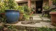 Understanding Common Snakes in Gardens and Homes: A Safety Guide