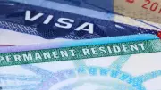 USCIS Director Warns of Crackdown on Green Card Fraud with New Investigations