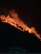 Uttarakhand Battles Rising Forest Fires: 260 Alerts Issued, Health Concerns Mount