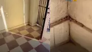 Viral Video Reveals Snake Camouflaged in Home Corner, Sparking Widespread Alarm