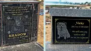 Vizag's Beach Pet Memorials: A Testament to Timeless Human-Animal Bonds