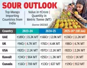 West Asia Crisis Slashes India's Mango Exports by 20-30%, Freight Costs Soar