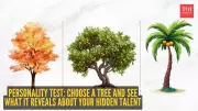 What Your Tree Choice Reveals About Your Hidden Natural Talent
