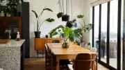 Why Your Indoor Plants Are Dying Despite Proper Care