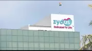 Zydus Wellness Shares Surge 15% on Strong Q4 Growth Expectations