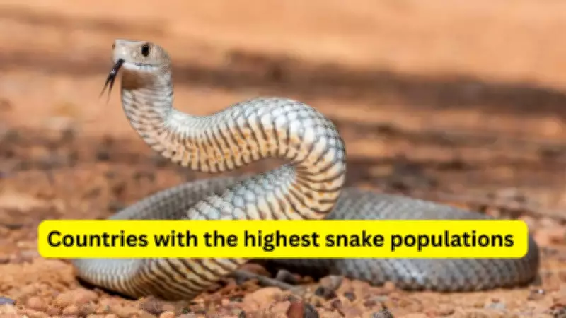 10 Countries with Highest Snake Populations and Safety Tips for Travelers