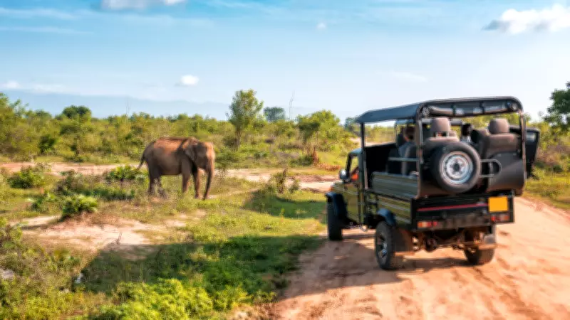 10 Underrated Wildlife Destinations in Asia for Peaceful Safaris on a Budget