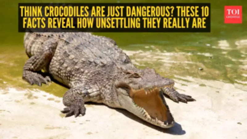 10 Unsettling Facts About Crocodiles That Will Change How You See Them