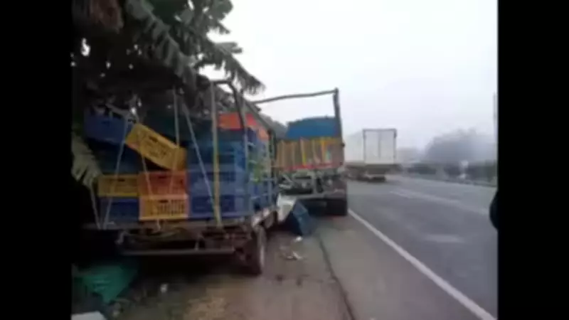 13 Killed, 16 Injured in Wrong-Side Pickup Truck Crash on Mumbai-Ahmedabad Highway