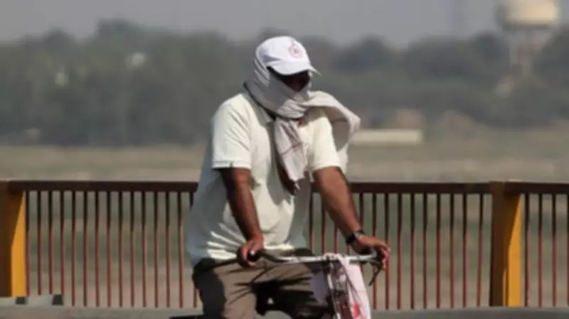 16 Die Due to Heatwave in Telangana; Govt Announces Rs 4 Lakh Ex Gratia