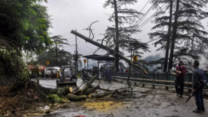 2025 Shimla Landslide: NHAI Tells NGT It's an Act of God, Rejects Compensation for Agricultural Land Damage