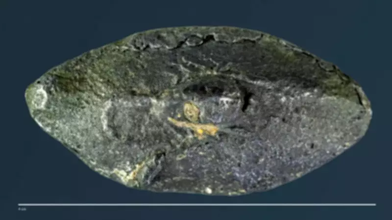 2,100-Year-Old Sling Bullet With 'Learn' Inscription Found in Israel