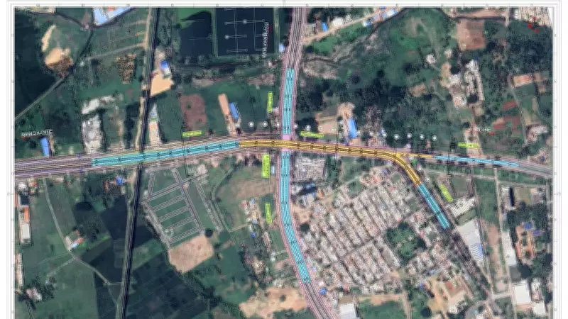 22 Tree Species Identified for Clearance at Mysuru Ring Road Flyover Site