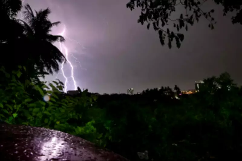 30 Sheep Killed in Lightning Strike in Nagarkurnool, Shepherd Escapes