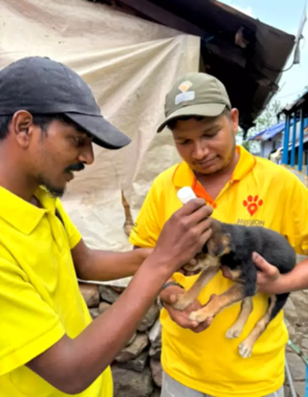 3,430 Dogs Vaccinated in Anti-Rabies Drive Across Kodai Hills