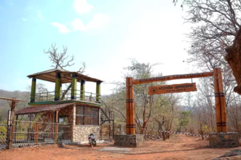 34km Jungle Safari Launched in Chhattisgarh's Bhoramdeo Sanctuary for Eco-Tourism