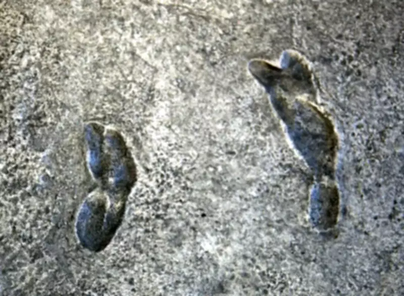3.6-Million-Year-Old Footprints Rewrite Human Evolution Timeline