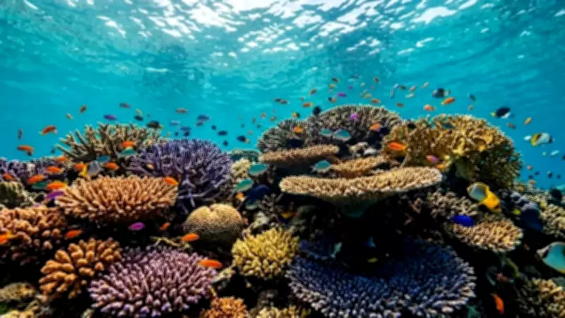 4,000 New Microbial Species in Coral Reefs Could Revolutionize Medicine