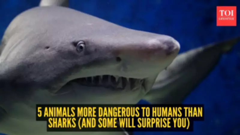 5 Animals More Dangerous to Humans Than Sharks Will Surprise You