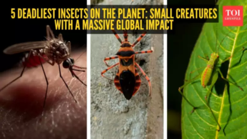 5 Deadliest Insects on Earth: Small Creatures, Massive Global Impact