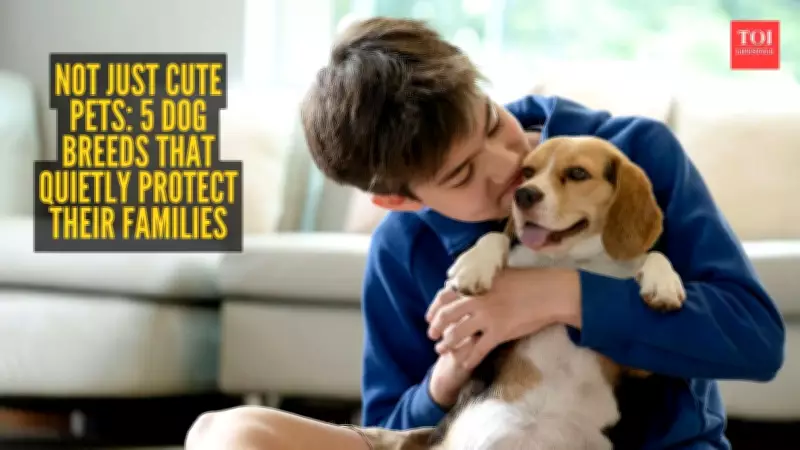 5 Dog Breeds That Quietly Protect Their Families at Home