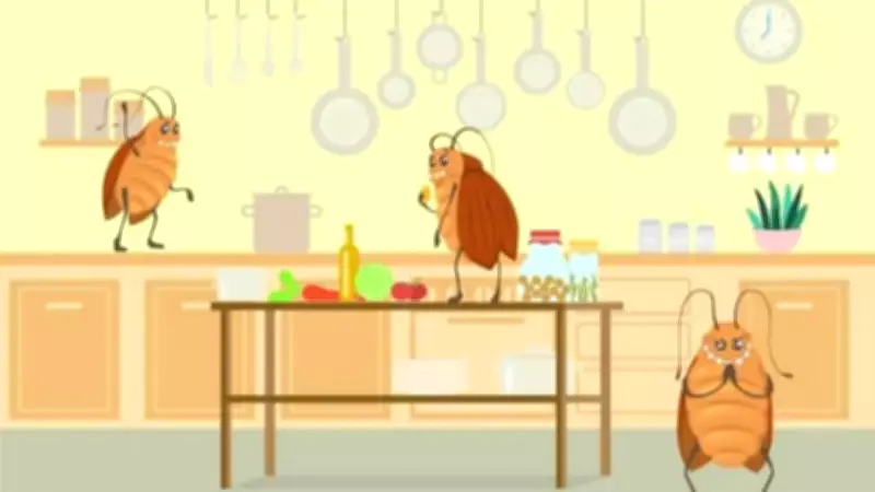 5 Effective Hacks to Keep Cockroaches Away from Your Kitchen Permanently