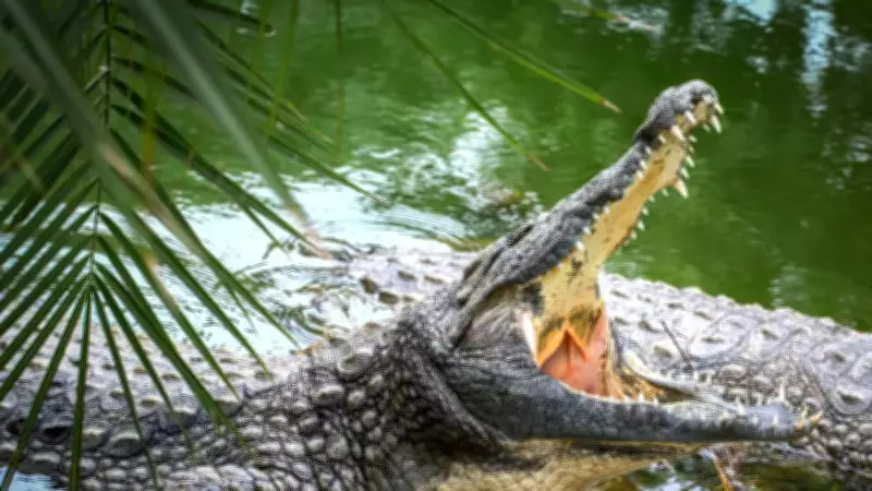 5 Giant Snakes That Can Kill and Eat Crocodiles