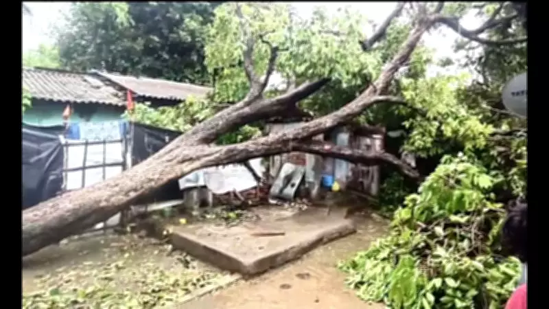 5 Killed as Severe Thunderstorm Wreaks Havoc in Bihar's Bhagalpur